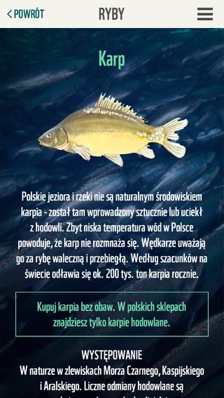 WWF Poradnik